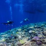 Mergulhadores nadando sobre um recife de coral em águas azuis profundas